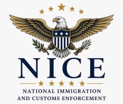 NICE Logo Meme Template