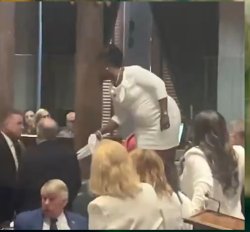 TN House has a protest Meme Template