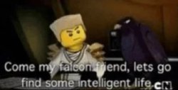 come on my falcon friend Meme Template