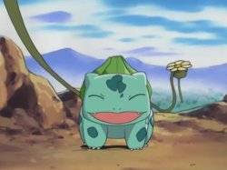 bulbasaur brought you a flower Meme Template