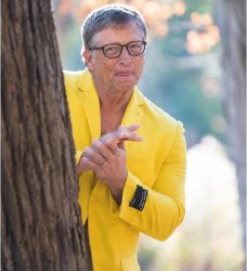Bill Gates behind tree Meme Template