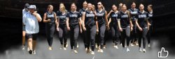 Softball Meme Template