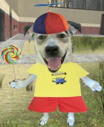 propeller hat dog Meme Template