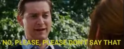 No please don't say that Meme Template