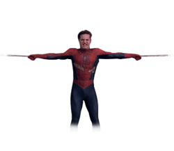 Spiderman hold Meme Template