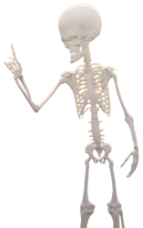 Megamind's Skeleton Meme Template