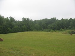 Empty field Meme Template