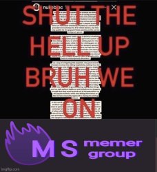 shut the hell up bruh we on msmgsite Meme Template
