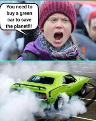 Grumpy Greta Green Car Meme Template