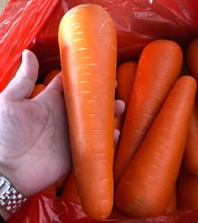 Chinese Carrots Meme Template