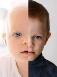 Baby kid Meme Template