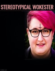 Wokester Stereotype Meme Template