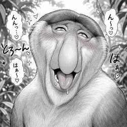 Ahegao nosacz Meme Template
