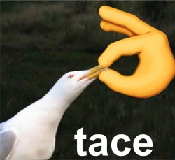 protestant seagull Meme Template