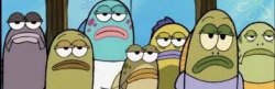 Not so Amused fish Meme Template