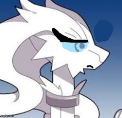 Verita the Reshiram upset Meme Template