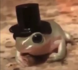 Frog With Top Hat Meme Template