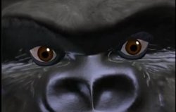 Are You Sure Meme Template