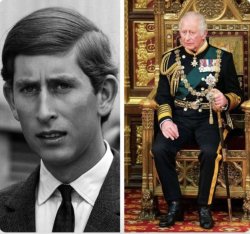 prince-king-charles Meme Template
