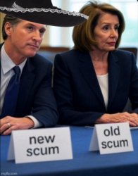 Greasy Gavin & Pelosi Meme Template
