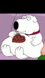 I love chocolate but I cant eat it because i'll get fat Meme Template