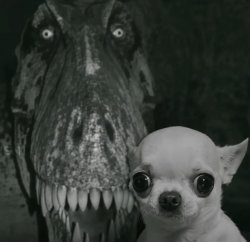 Dinosaur behind Chihuahua Meme Template