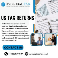 US Tax Returns Meme Template