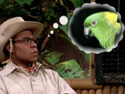 Brian Fellows Bird Meme Template