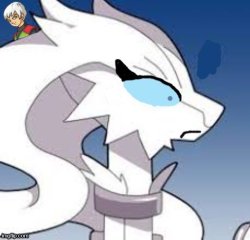 Verita the Reshiram john dragon ball Meme Template