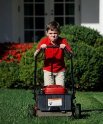 Lawn mow boy Meme Template