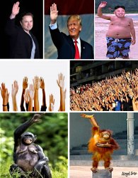 raise your hand if... Meme Template