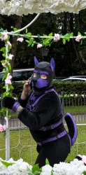 Fruity Boy - Furry Edition Meme Template
