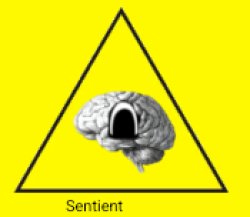 PCS Warning 1 Meme Template