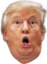 Trump head Meme Template