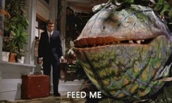 feed me Meme Template