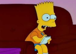 bart franchute Meme Template