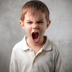 Angry kid Meme Template