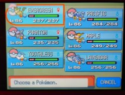 Pokemon Pearl Team Meme Template