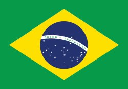 Brazil Meme Template