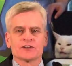 Bill Cassidy and Smudge Meme Template