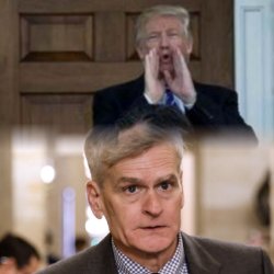 Trump and Bill Cassidy Meme Template