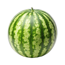 Watermelon Meme Template