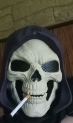 Skeletor Meme Template