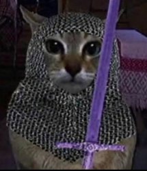 gato templario Meme Template