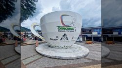 World's Largest coffee cup Meme Template