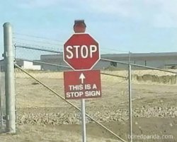 Stop Meme Template