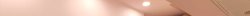 kissed elephant prolapse Meme Template