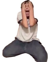 crashout Meme Template