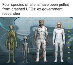 UFO Aliens Meme Template