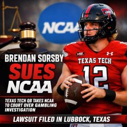 Texas Tech QB Brendan Sorsby sues NCAA over gambling investigati Meme Template